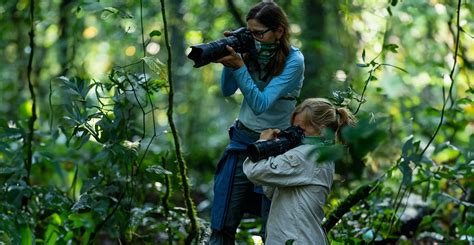 African Hartebeest | Uganda Safari Cost