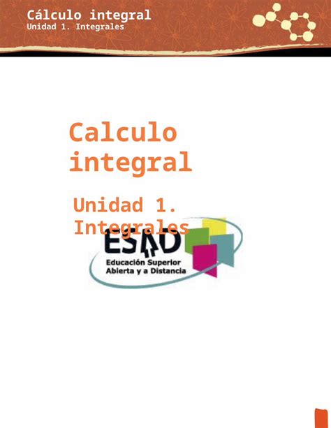 Docx Cal Culo Integral Completo Dokumen Tips