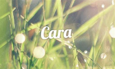 Erotische Massage Sex Massage In Der Stadt Z Rich