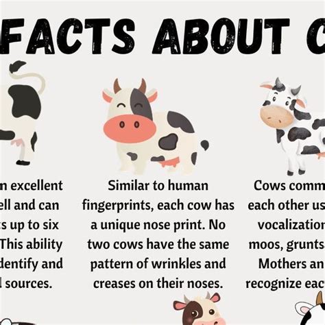 Self-Sufficient Backyard on Instagram: "Cows are gentle and social