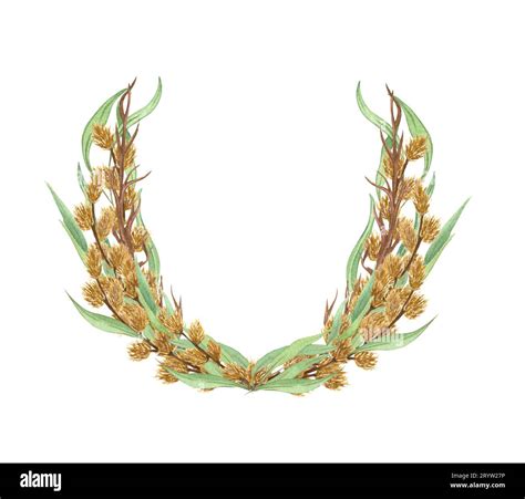 Watercolor Wreath Of Pussy Willow Twigs Spring Bouquet Easter Decorations Hand Drawn