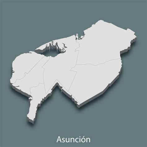 3d isometric map of Asuncion is a city of Paraguay 11309694 Vector Art