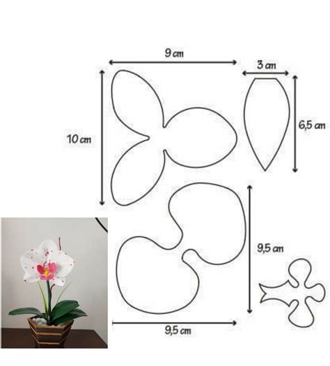 Moldes De Orquideas Para Imprimir - Moldes para orquideas de foami | Plantilla orquidea, Como hacer una ...