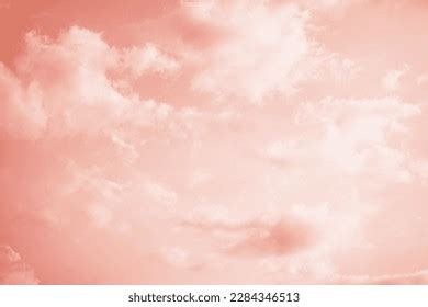 7 Thousand Nude Beach Tanned Royalty Free Images Stock Photos Pictures Shutterstock