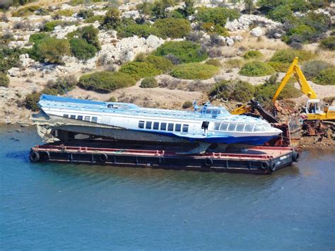 Tarti - Tarti - Shipfriends