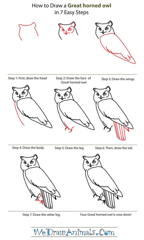 draw  owl step  step  kids   draw cartoon owls