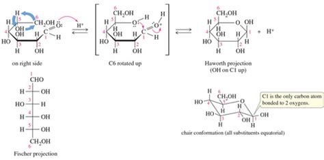 Structures For Orgo Ii Final Flashcards Quizlet