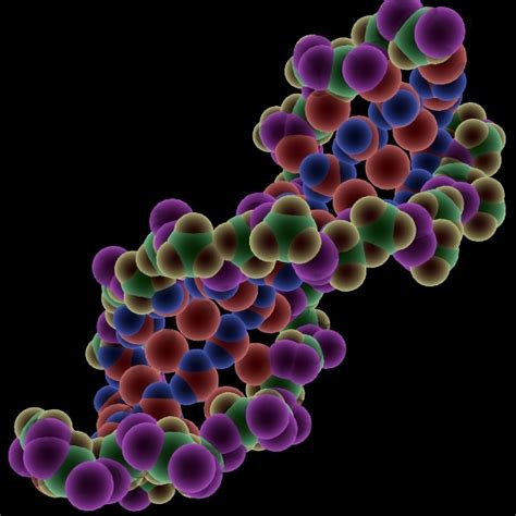 DNA molecule 3D Model