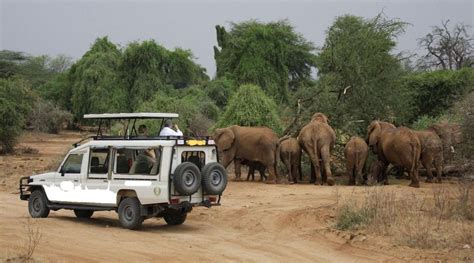 4Days Aberdare Samburu Luxury Safari 4x4 LandCruiser Jeep GetYourGuide