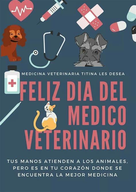 Pin De Pamela Gonzalez En Editar Fotos Dia Del Medico Veterinario