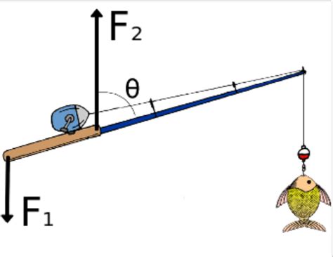 Solved Problem A Fisherman Has Caught A Fish On His Chegg