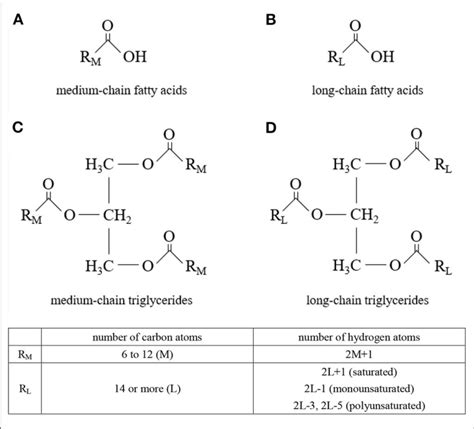 Molecular Structures A Medium Chain Fatty Acids B Long Chain