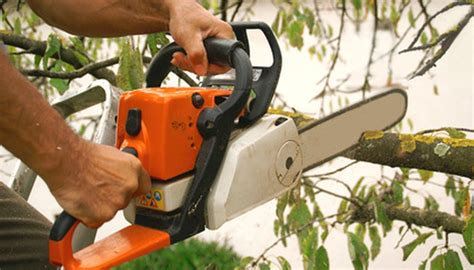 Tools to Cut Tree Limbs | Garden Guides