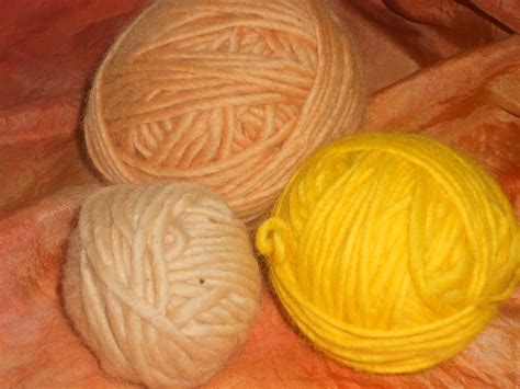 The Five of Us: Dyeing Yarn with Natural Dyes