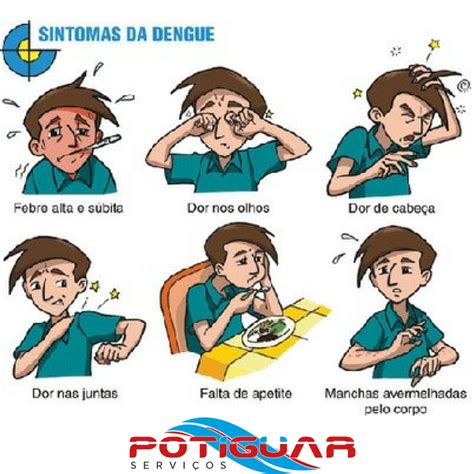 Potiguar Serviços Sintomas Da Dengue