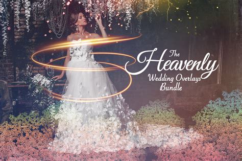 Wedding Overlays 6000 Wedding Photo Overlays