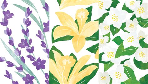 Secret Garden on Behance