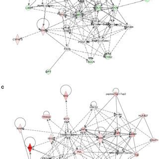 Ingenuity pathway analysis (IPA) of differentially expressed proteins ...