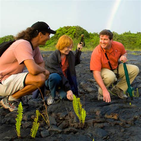 Hawaii Volcano Unveiled | Best Big Island Sightseeing Tours