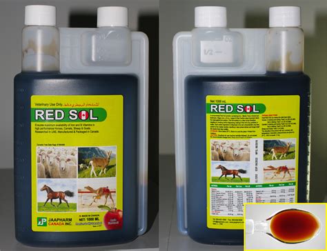 Red Sol – manoequestrianservices