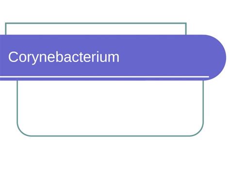 (PPT) Corynebacterium. Classification Corynebacterium diphtheriae and ...