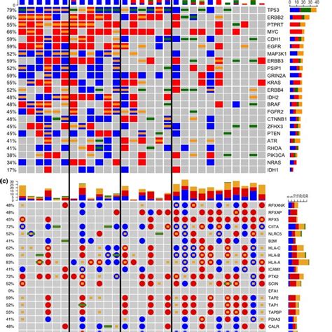 Mutational Analysis A Tumor Mutational Burden Tmb Was Calculated Download Scientific