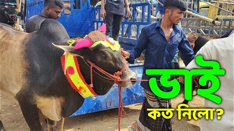 Bhai Koto Nilo Gabtoli Gorur Haat 2022 Part 100 Qurbani Cow Price