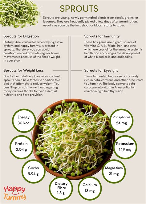 The Nutrient Rich Benefits Of Sprouts Happytummy