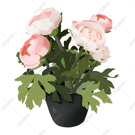 Draw A Rose Flower Pot Best Flower Site