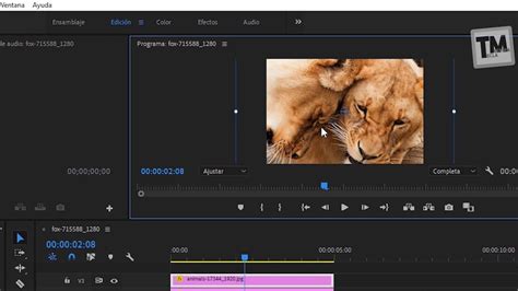 Cómo hacer un vídeoclip fácil y rápido con Premiere Pro BIEN