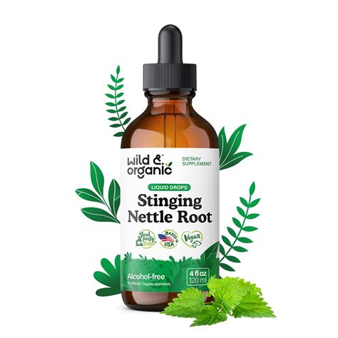 Buy Stinging Nettle Root Tincture - 4 fl.oz. Bottle | Wild & Organic