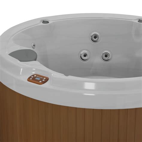 D Model D Model Of Hot Tub Jacuzzi Sundance Spas Denali VR AR Low