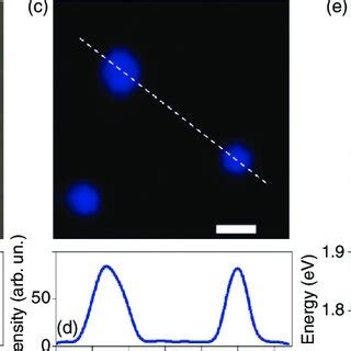 A Optical Micrograph Of Three Bubbles Formed In A Mos Monolayer