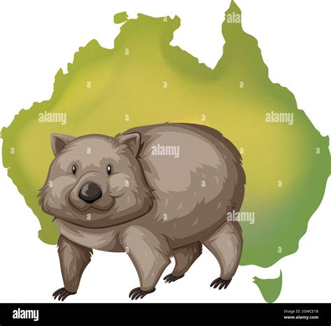 Wombat And Australia Map Stock Vector Image Art Alamy