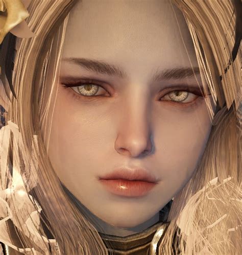 Dk Dark Knight Beauty Album Garmoth Bdo Companion