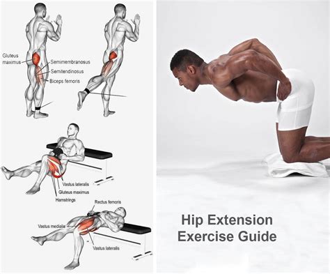 Hip Extension Exercise Guide Butt And Glute Efitnesshelp