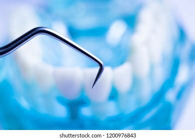 Dentist Cleaning Teeth Titanium Metal Tooth Stock Photo 1200976843 | Shutterstock