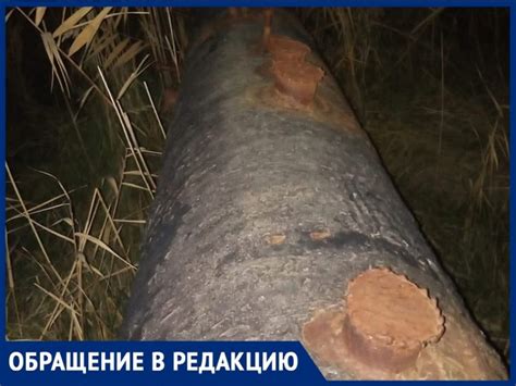 «Потому и топит»: волгодонец показал гигантские чопики на водопроводе