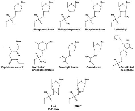 Chemical structures of nucleotide analogs. | Download Scientific Diagram
