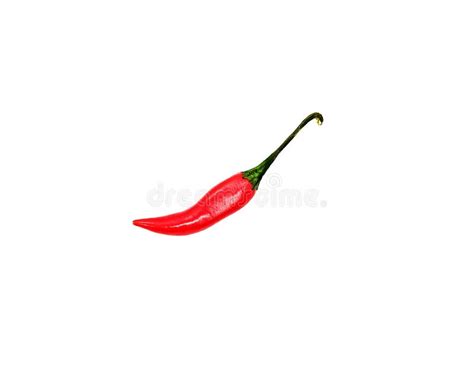 One Small Red Hot Chili Pepper On A White Background Stock Photo Image Of Nature Cayenne