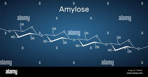 Amylose Molecule It Is A Polysaccharide And One Of The Two Components