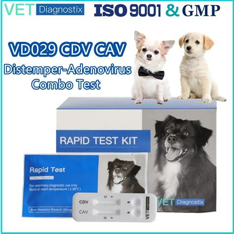 The Canine Distemper Adeno Virus Antigen Combo Test CDV CAV AG