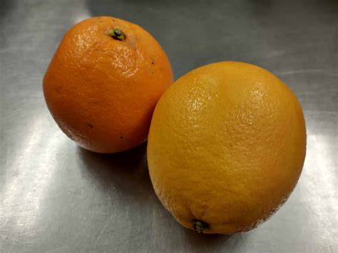 Large Navel Oranges Pair Nshf