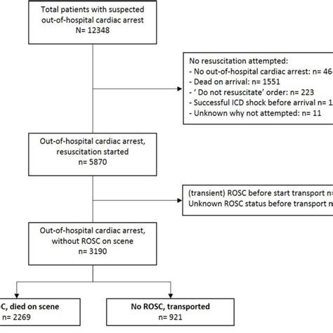 Summary Figure Qualitative Data Main Themes And Subthemes Identified Download Scientific