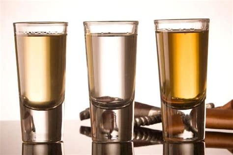 Tequila - Der Ultimative Guide | Cocktail Society