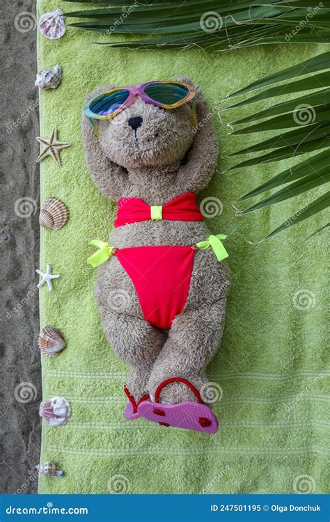 Female Teddy Bear In Bikini On Beach Towel Stock Image Image Of Summer Comfort