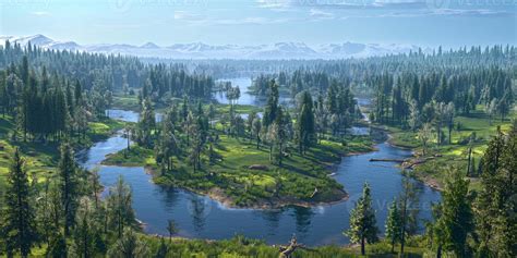 Lush River Valley Forest Ecosystem Water Conservation Success 53730238