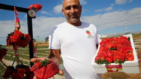 O Familie De Agricultori Din Israel A Dobor T Recordul Pentru Cea Mai