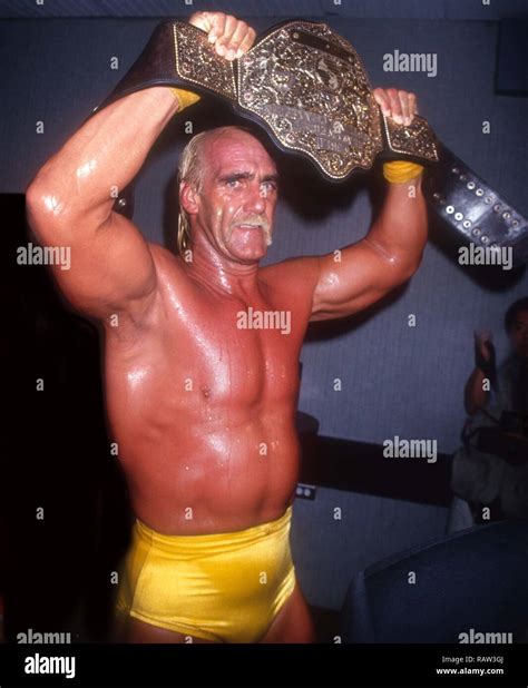 Hulk Hogan 1994 Photo By John Barrettphotolinkmediapunch Stock Photo