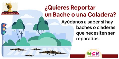 Reportar Bache